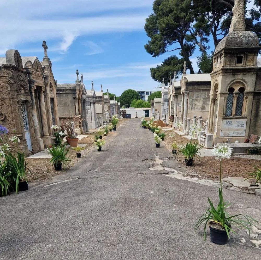 Cuve funéraire près de Châteauneuf-les-Martigues